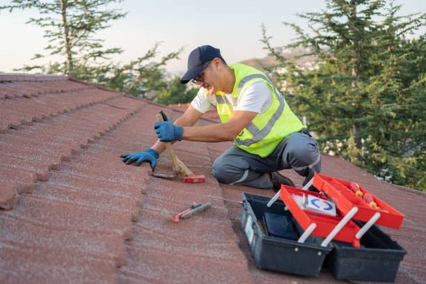 Best Flat Roof Repair Services  in Sorrento, LA